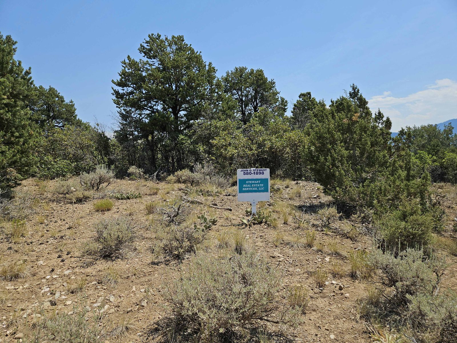 Main image 10