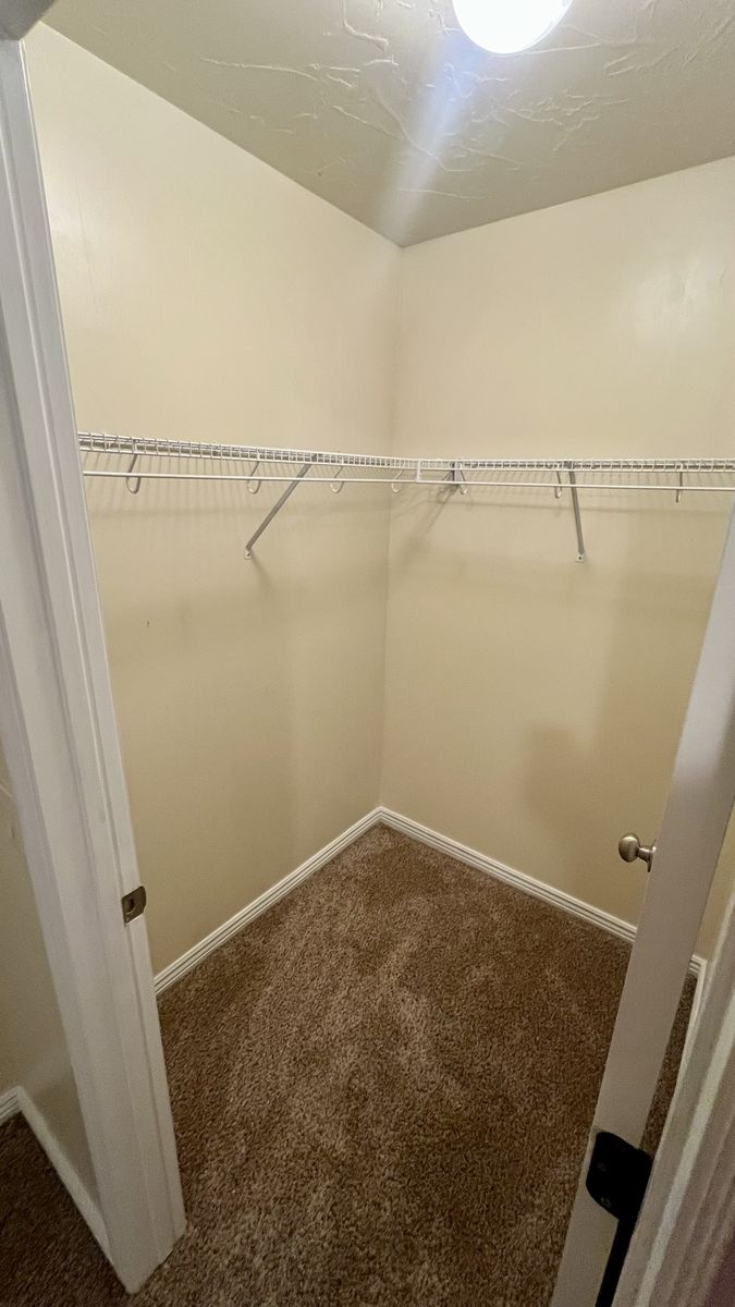 Main image 5