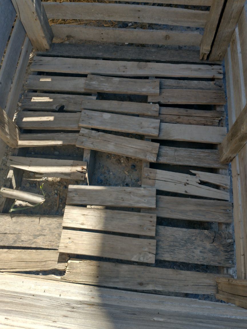 Main image 3