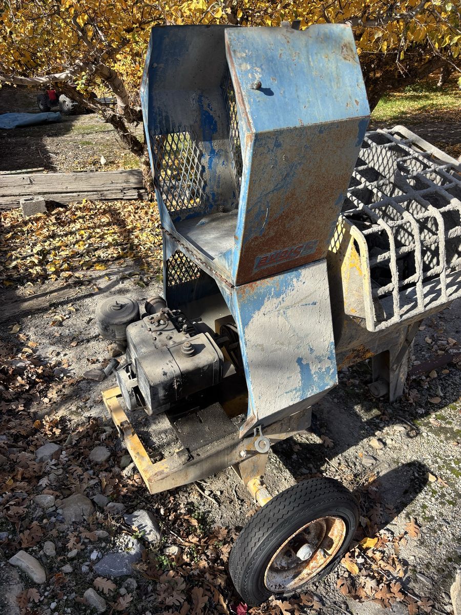 Main image 4
