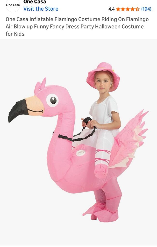 Ride on flamingo costume
