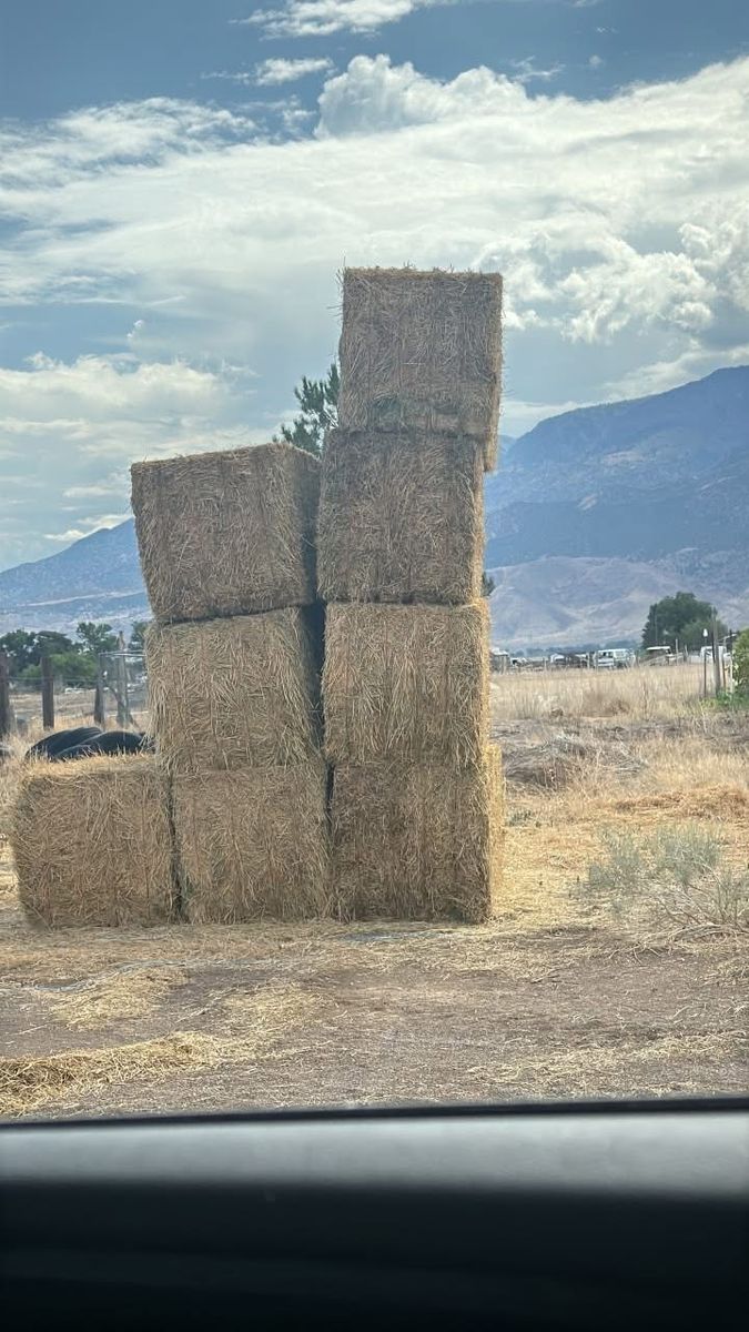 3x3x8 Alfalfa Bales