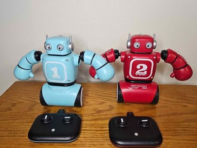 Robot Knockout RC Battling Robots - Fun Gift - Great Condition