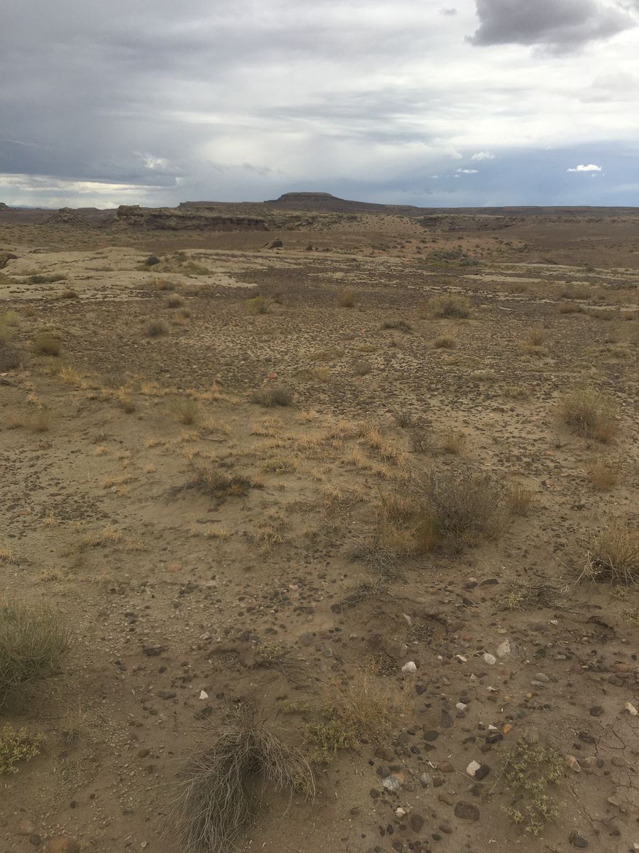 Main image 10