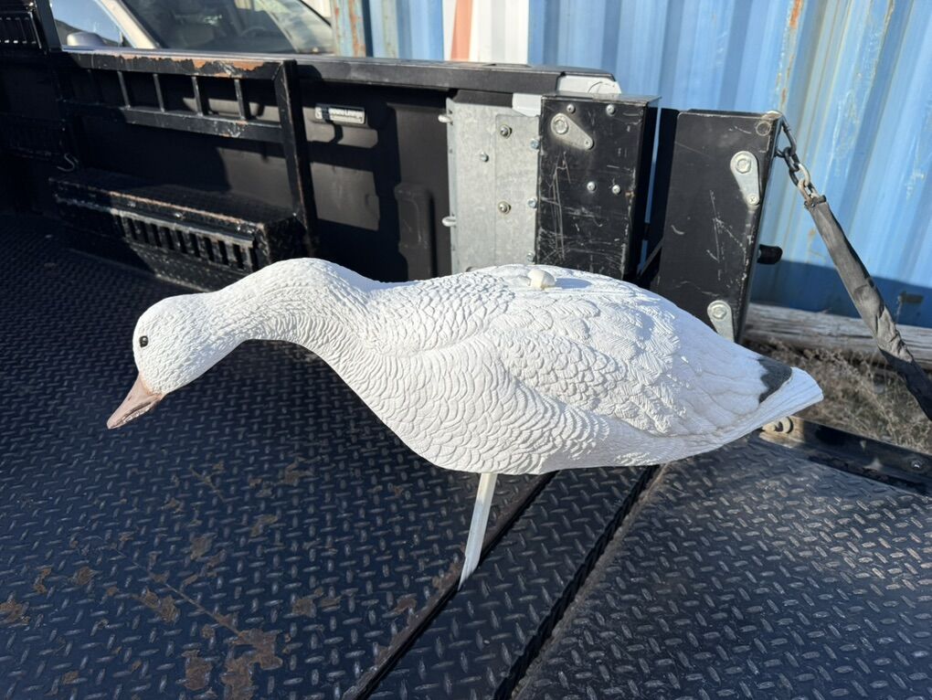Snow Goose Decoys