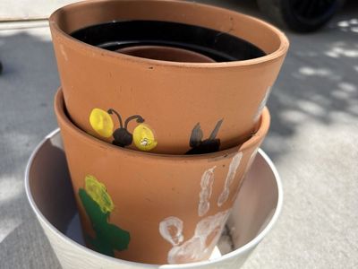 Assorted Terracotta and Plastic Plant Pots with Hand-Painted Artwork
