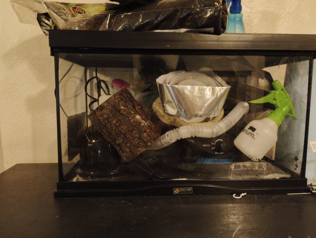 tank with accessories