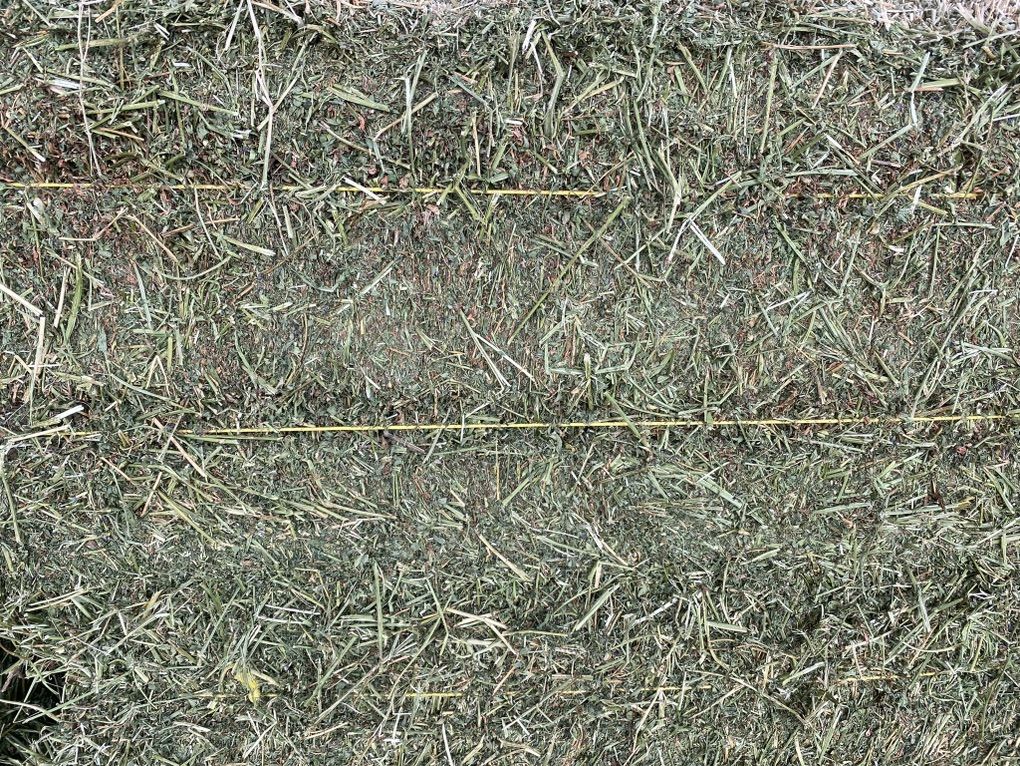 Main image 4