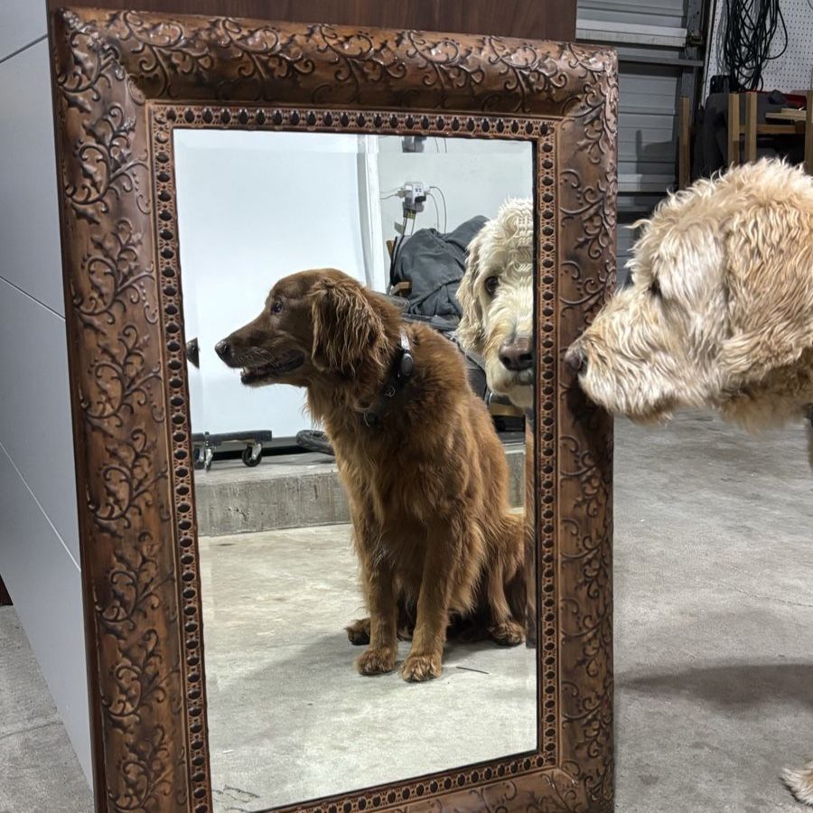 Mirror 