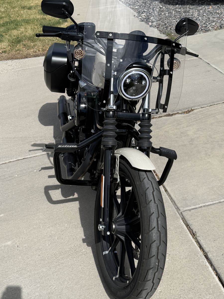 2022 Harley Davidson Iron 883