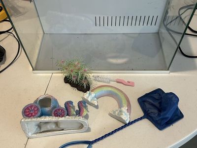 Fish Tank with all the accessories