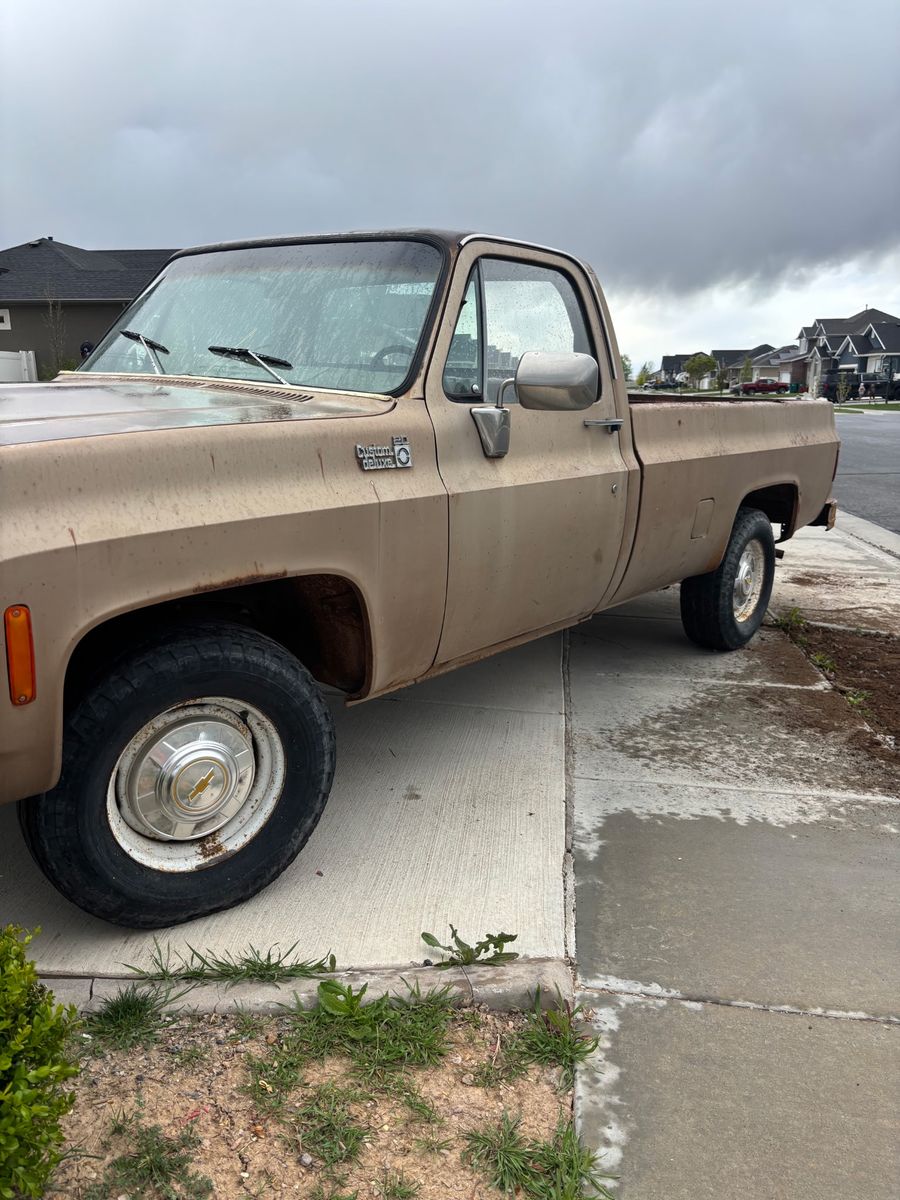 1980 Chevrolet C20 