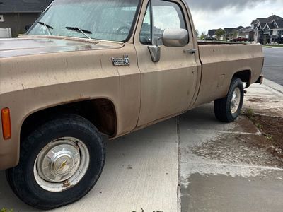 1980 Chevrolet C20