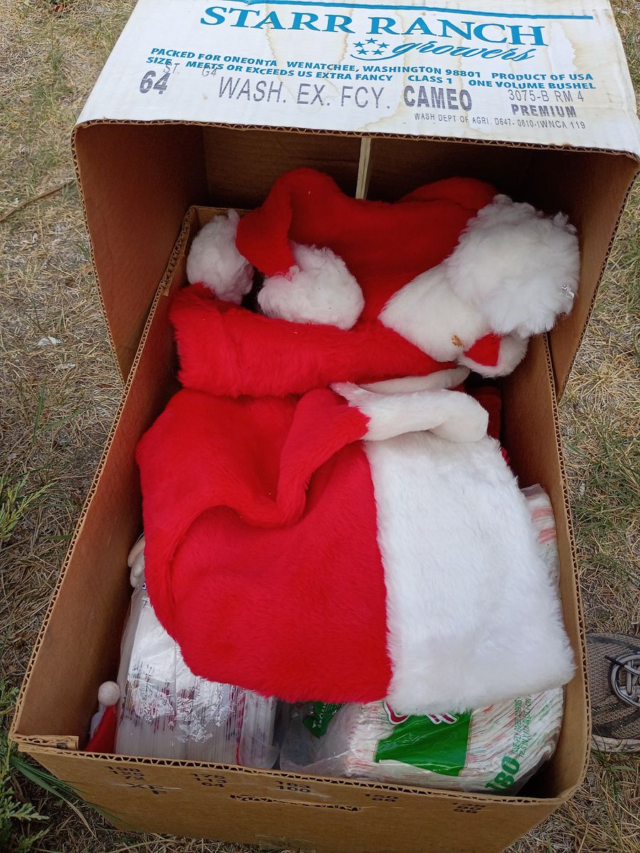 Vintage Christmas items galore! More than 10 boxes and totes full!