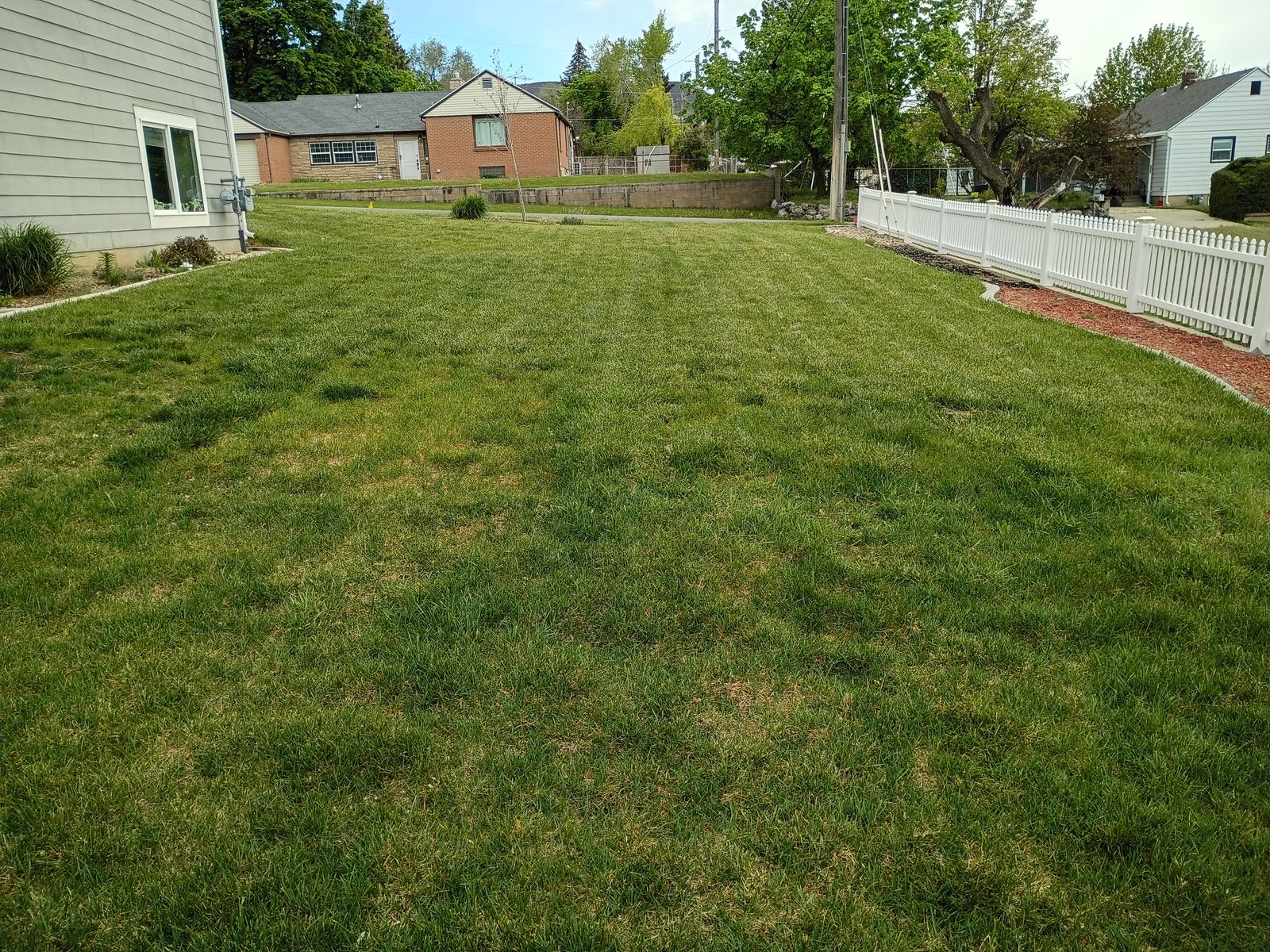 3000 sq ft grass / sod FREE