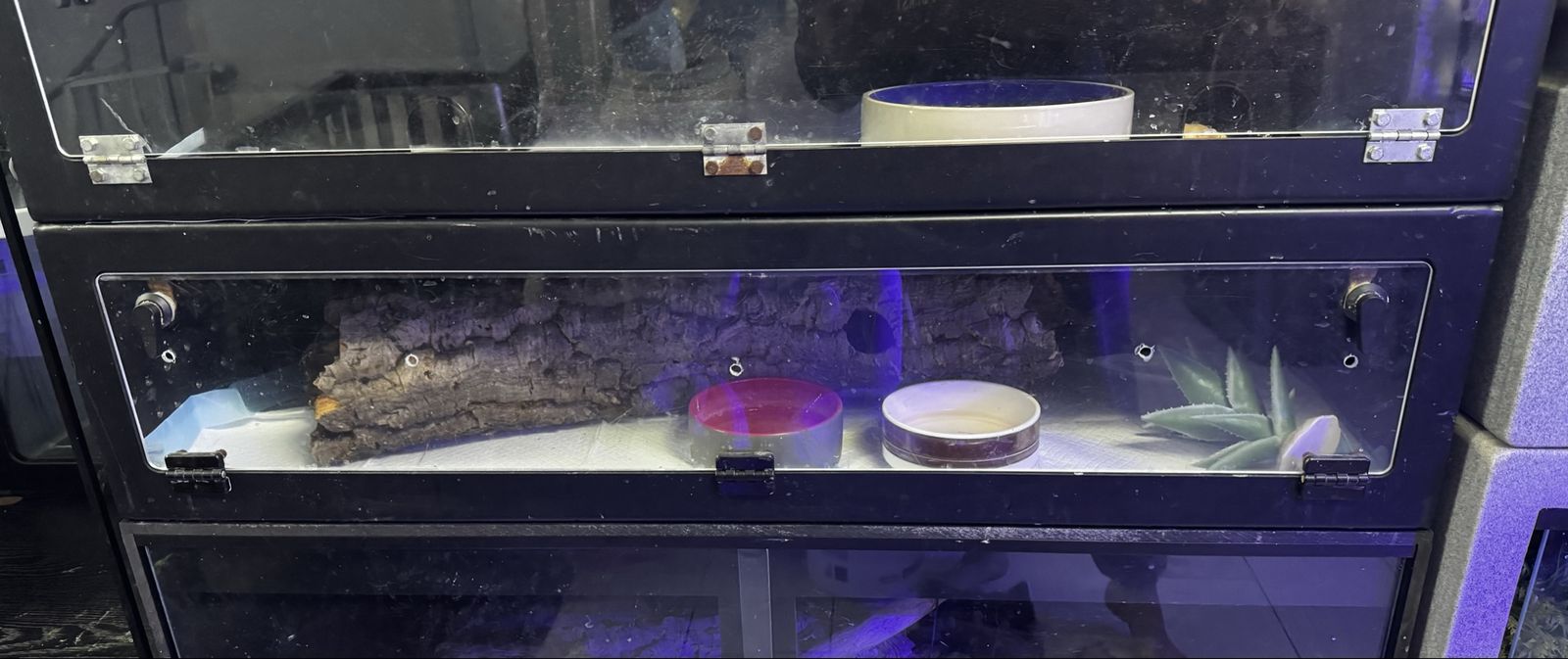 Bophile PVC Cages With Extras