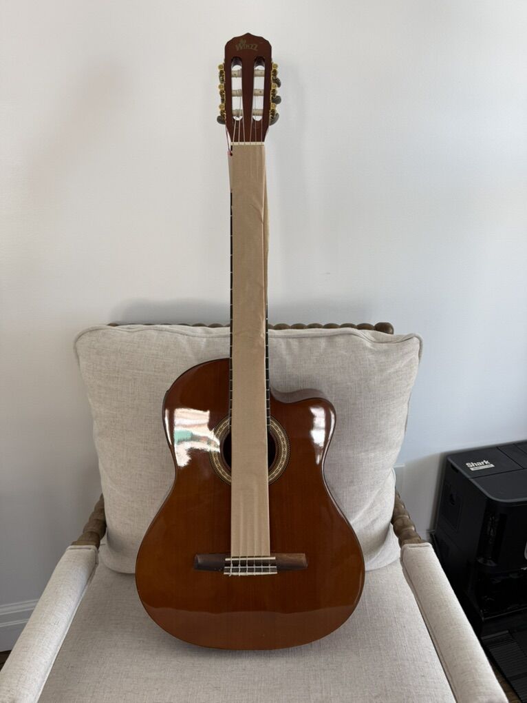 Brand New Beginner Guitar