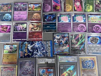 Pokemon Chinese And English