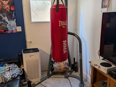 Everlast MMA Red Punching Bag with Stand