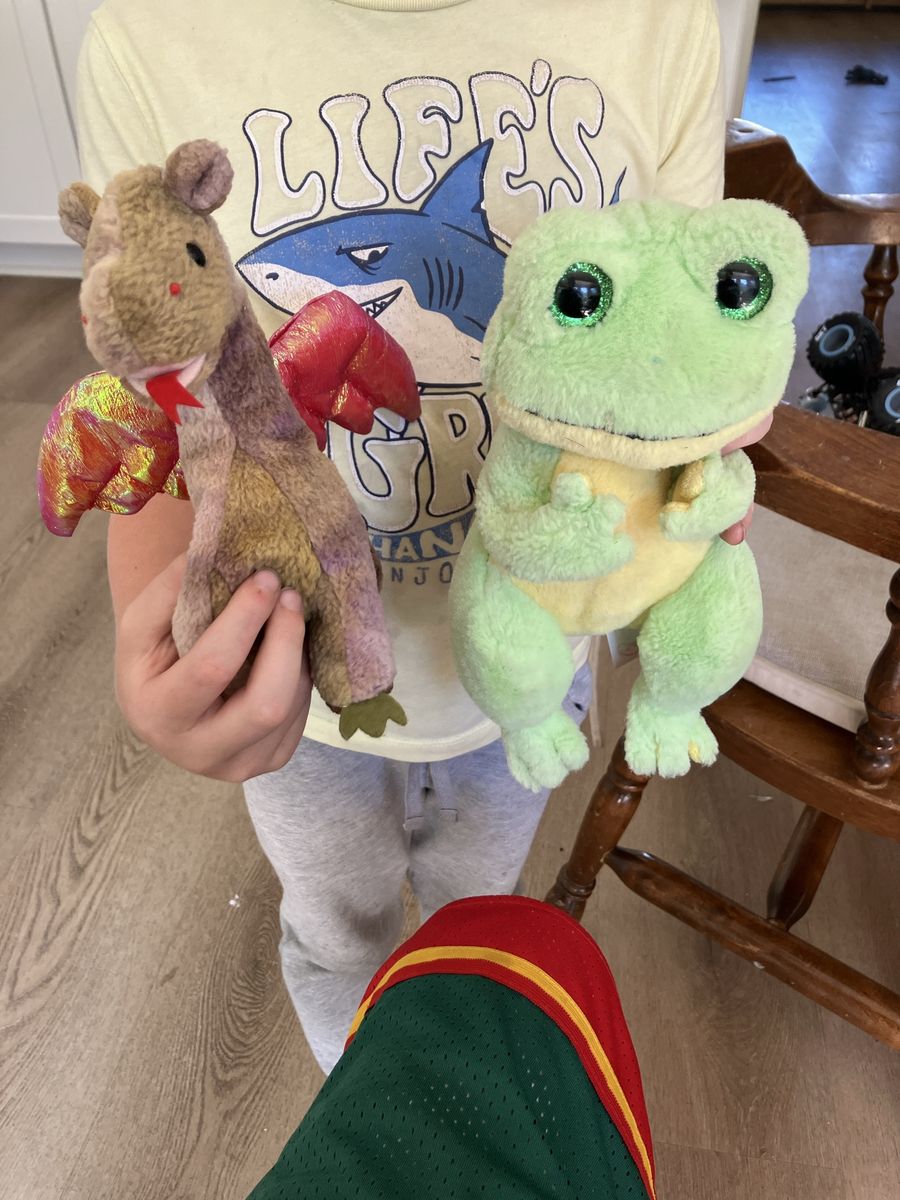 Cute Stuffed Animals - Dragon & Frog Plush Toys - Great Condition