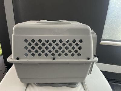 Pet Carrier Crate - Light Gray Plastic with Metal Gate - Used Good Condition