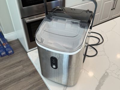 Ice maker