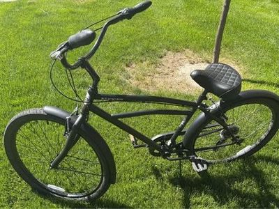 schwinn beach cruiser