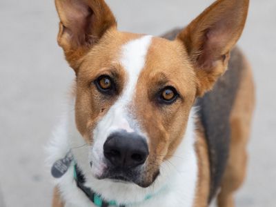 Hello my name is Levi