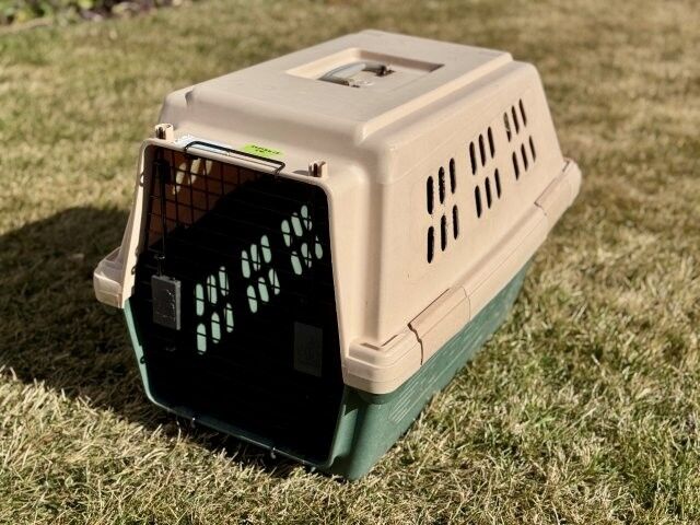 Medium Furrarri Carrier Heavy Duty