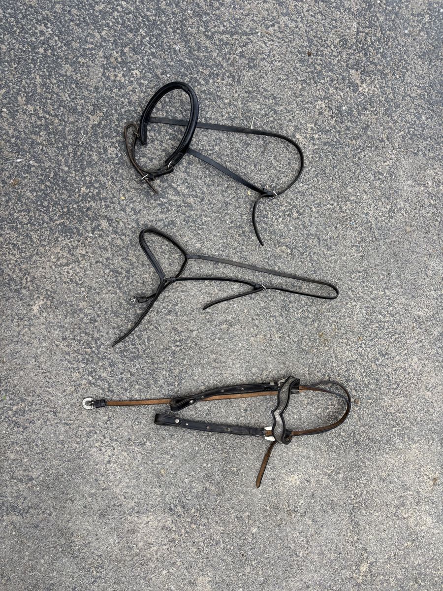 Various Horse Bridles