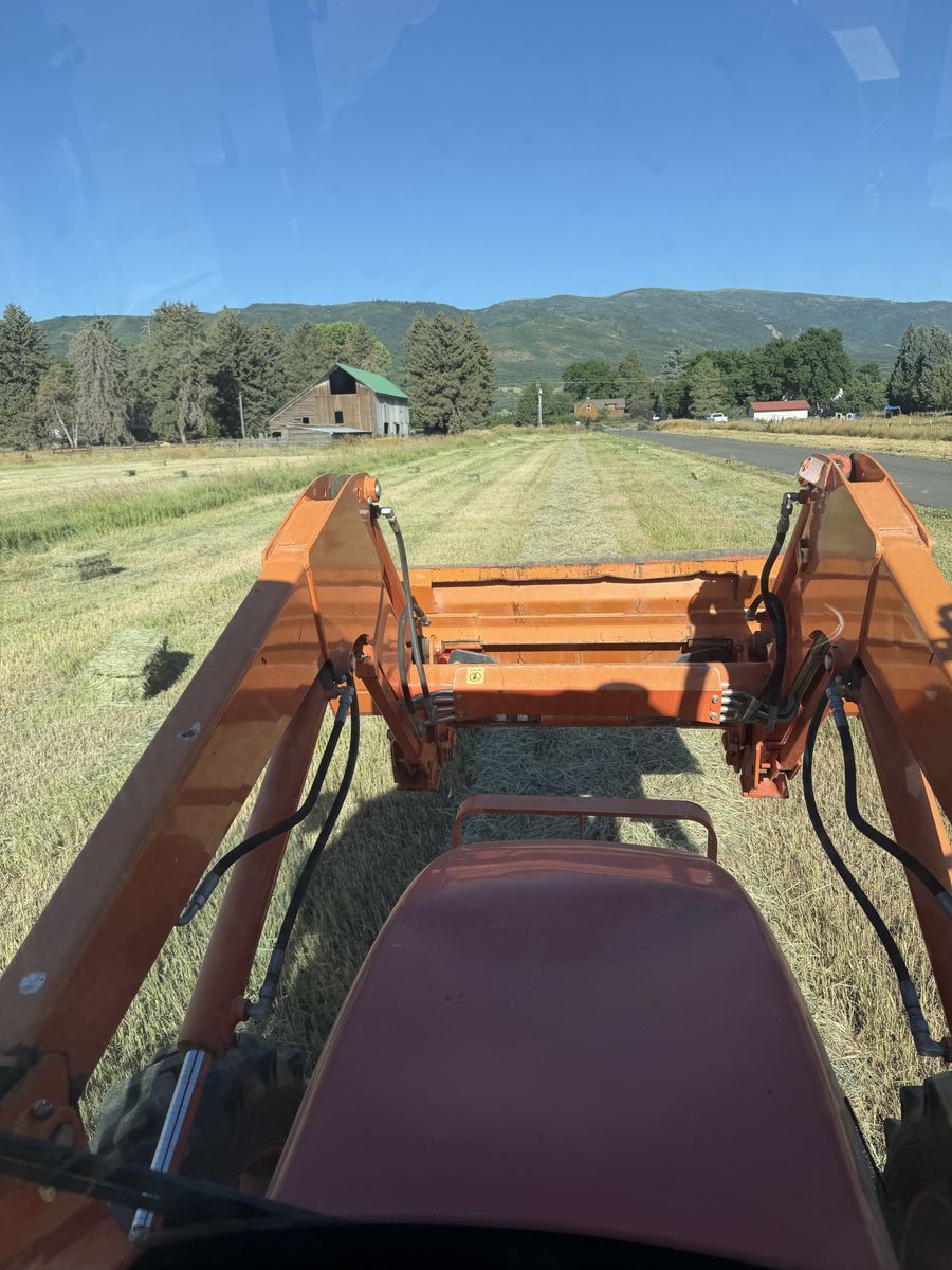 Grass hay for sale