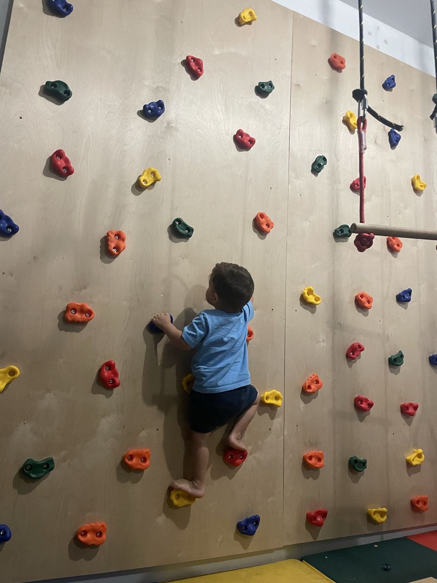 Rock climbing wall for indoor or garage wall.
