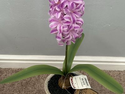 Farmer Market Artificial Purple Hyacinth Flower in Pot