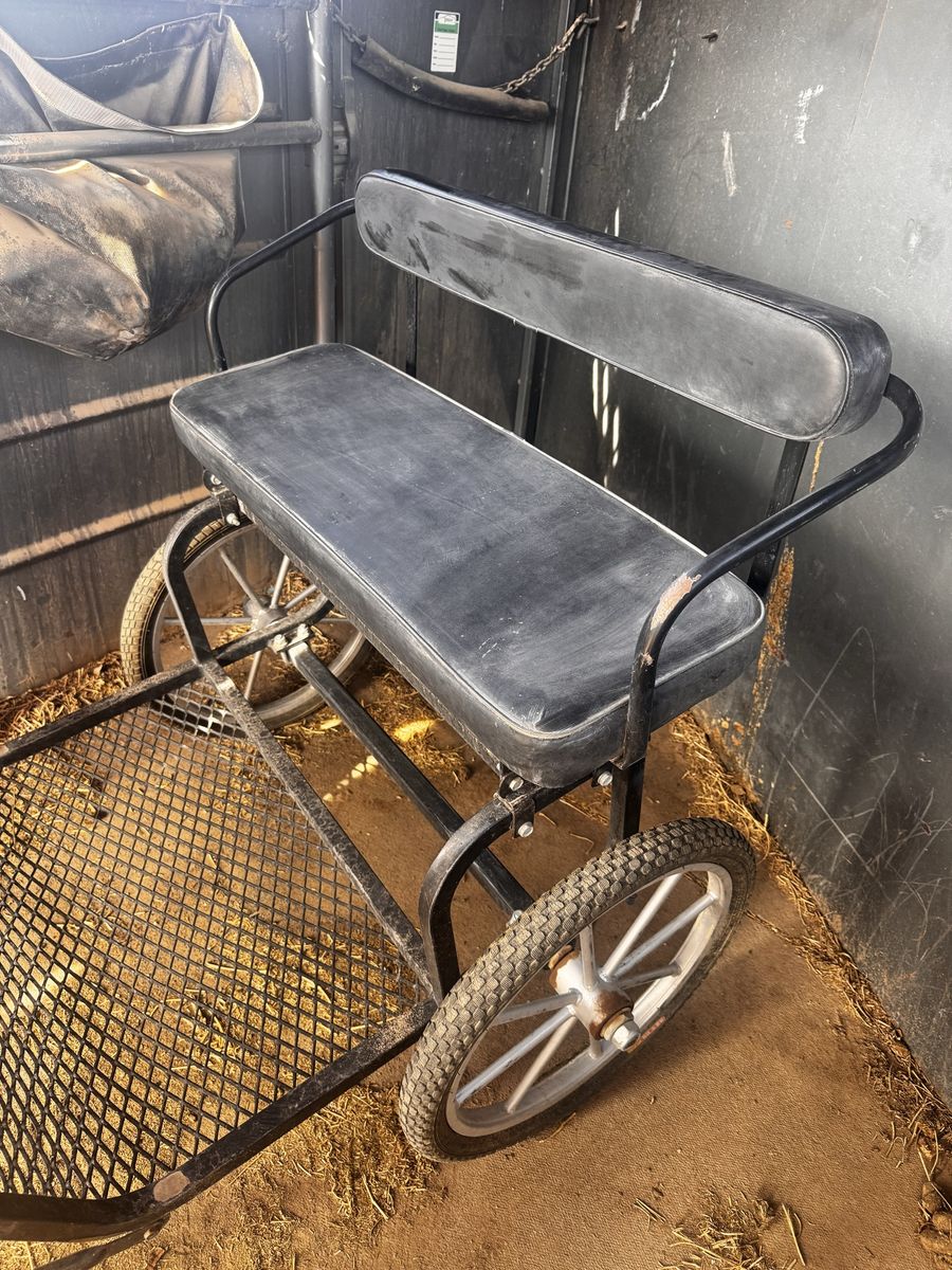Pony cart 