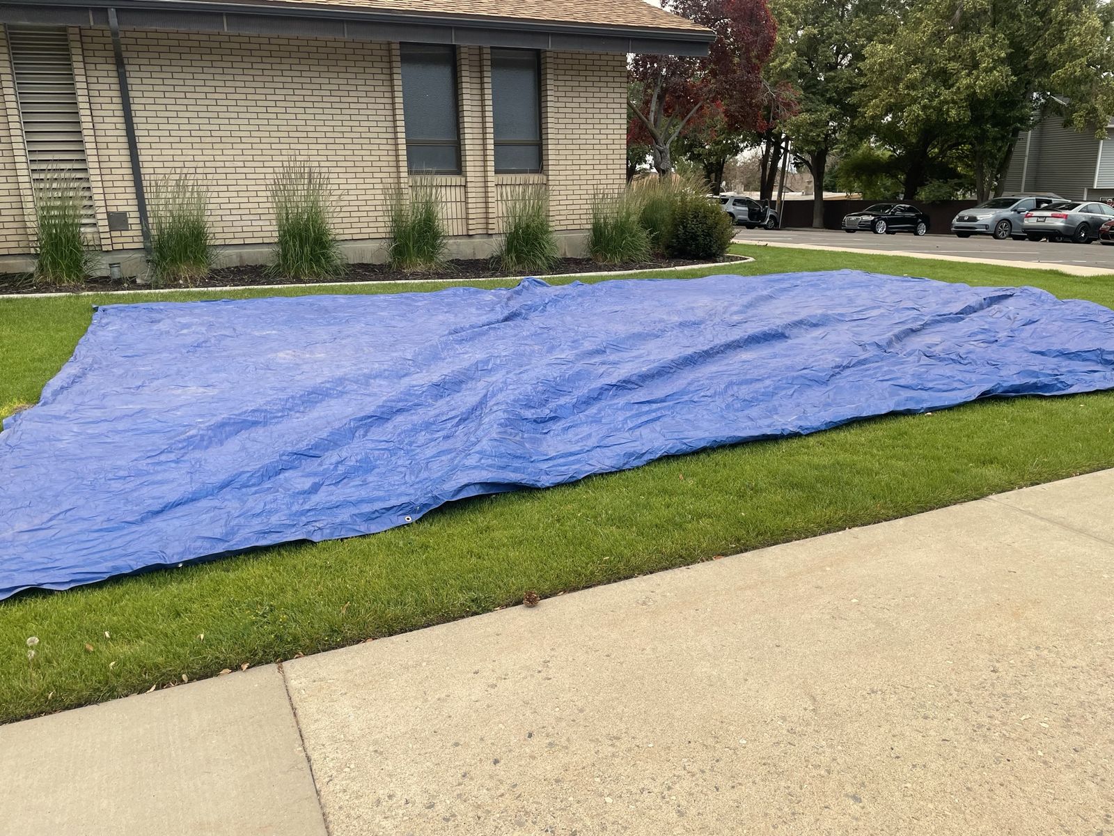 20’ x 30’ Tarp