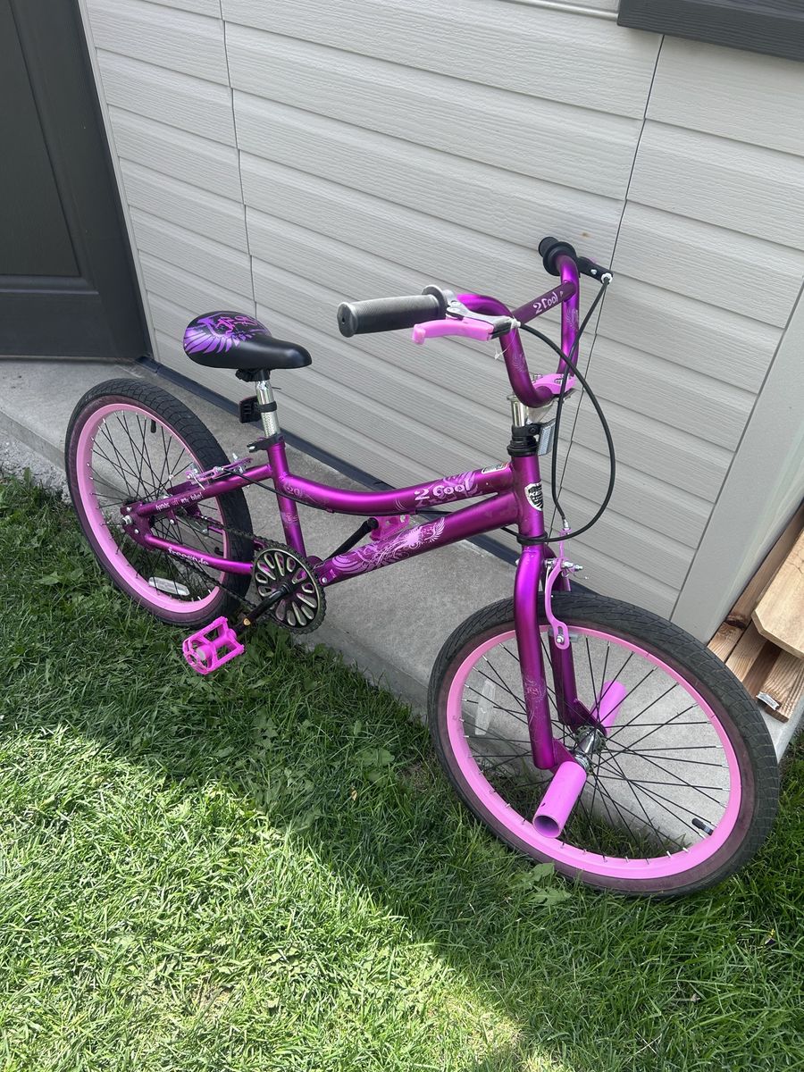 2 Cool Girls Purple and Pink Bicycle with Training Wheels