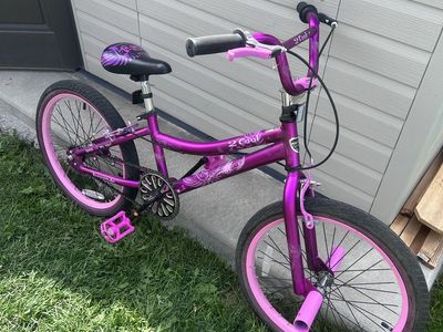 2 Cool Girls Purple and Pink Bicycle with Training Wheels