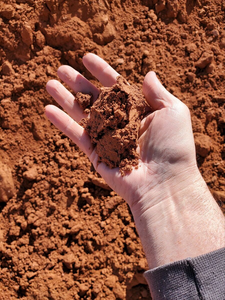 Super Soil Blend: Utah's Ultimate Garden Booster with Ferrozite & Foresst Fines – Go Super Green!