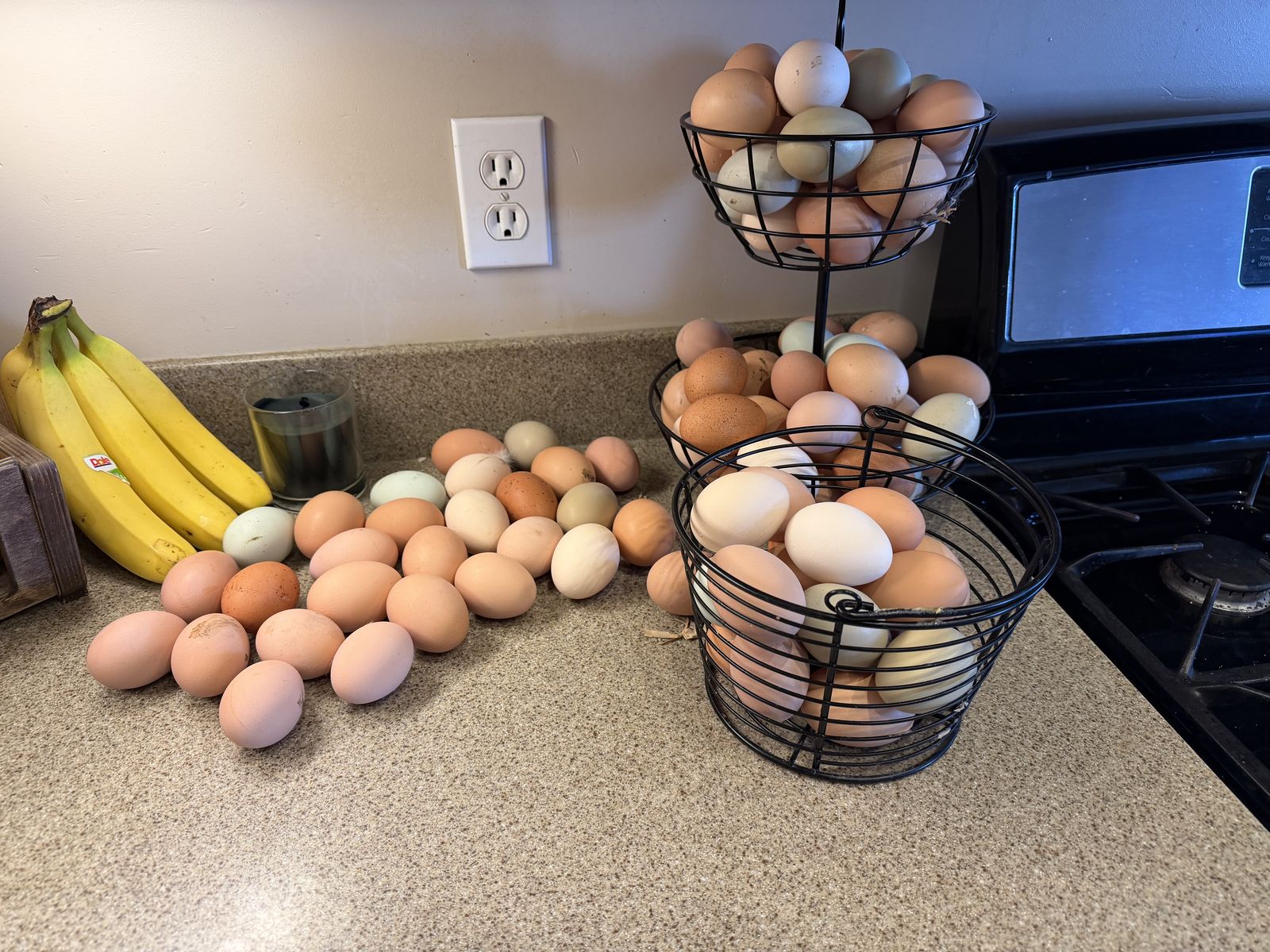Chickens Eggs
