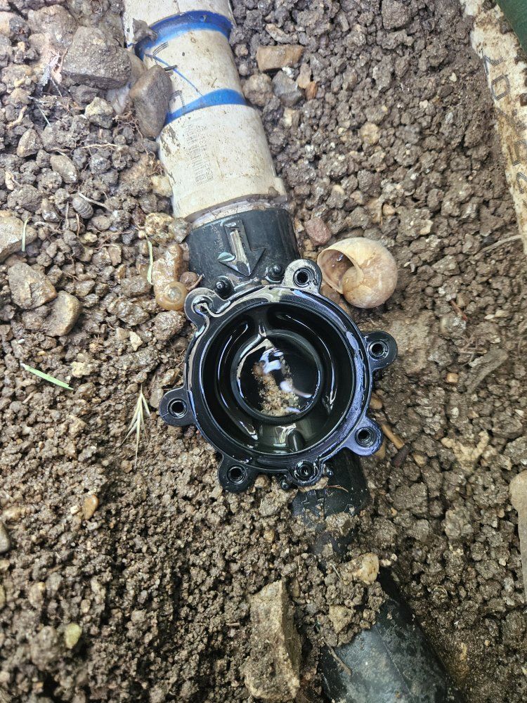 Main image 6