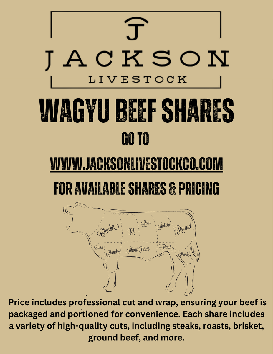 Wagyu Beef Shares