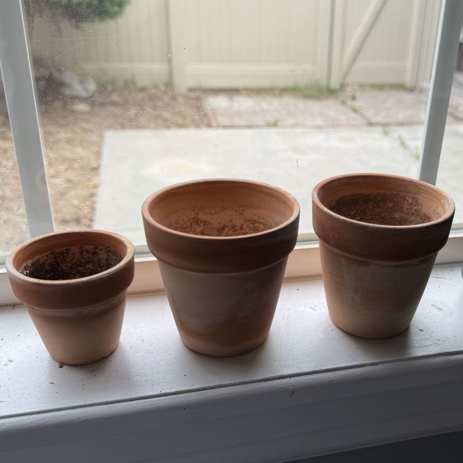 Small plant pots