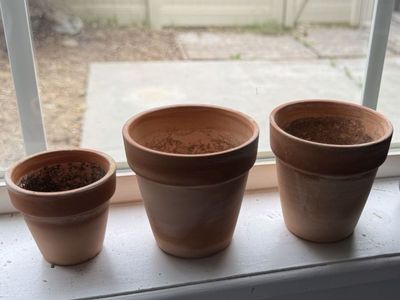 Small plant pots
