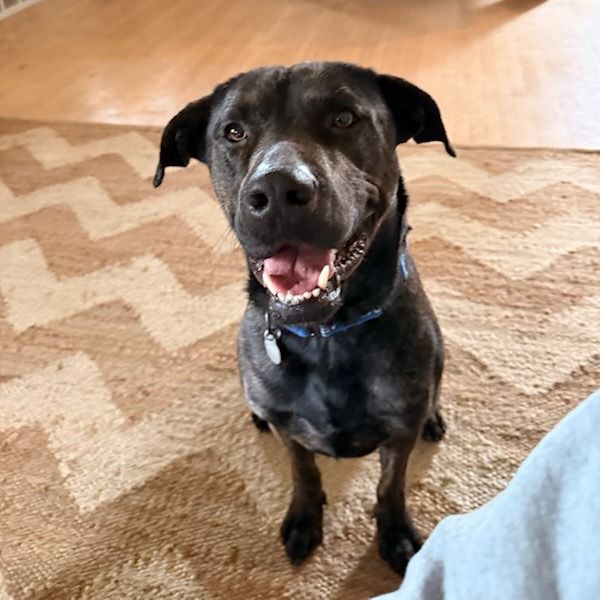 Hello my name is Axel