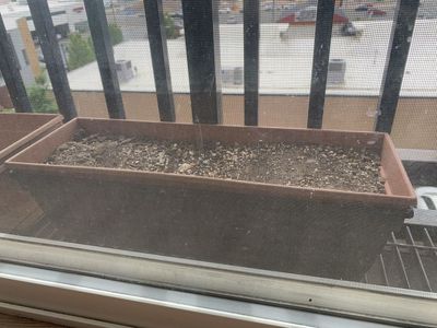 Rectangular planter boxes ($15 for all 4)