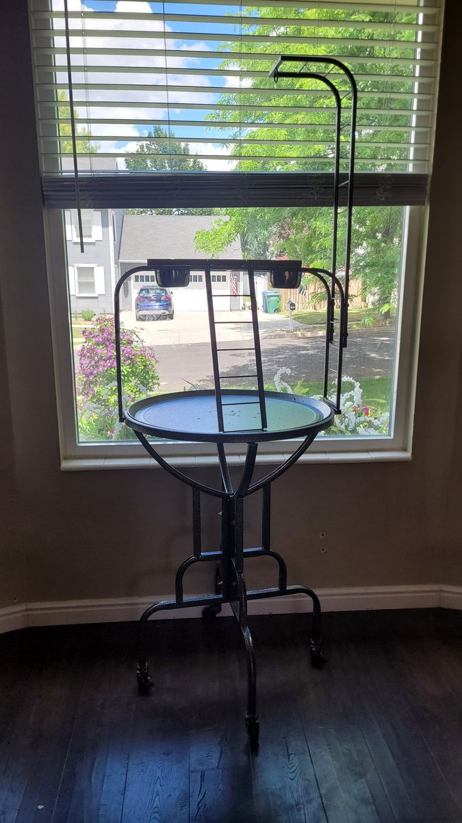 Bird stand