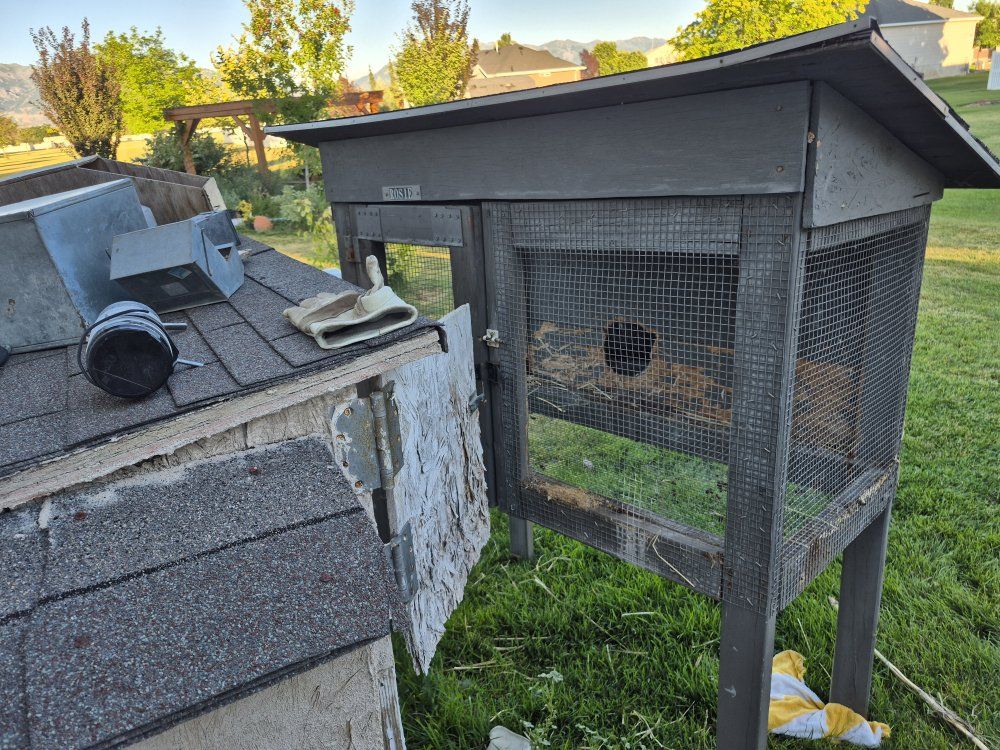 2 Rabbit Hutch