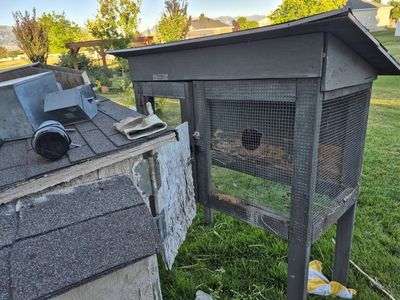 2 Rabbit Hutch