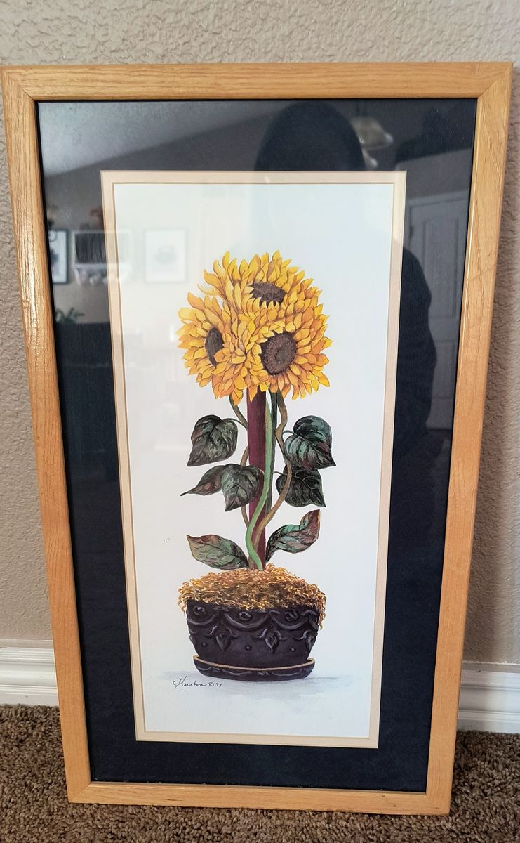 Framed Sunflower
