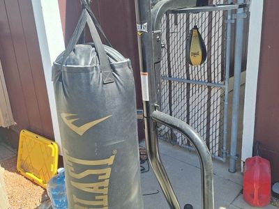 Everlast Heavy Bag & Stand with Speed Bag - Full Boxing/MMA Training Set